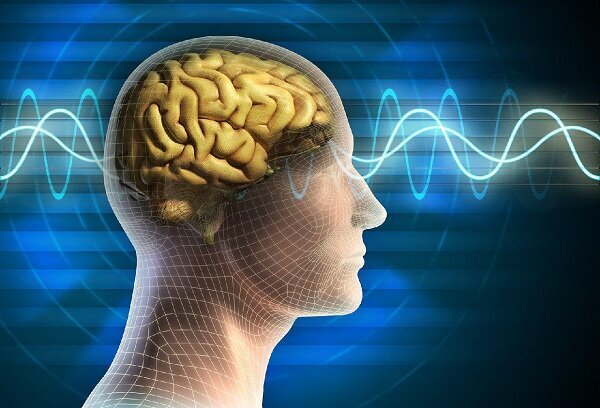 ارتقای دانش در حوزه سازوکارهای مغزی کنترل توجه در بینایی
