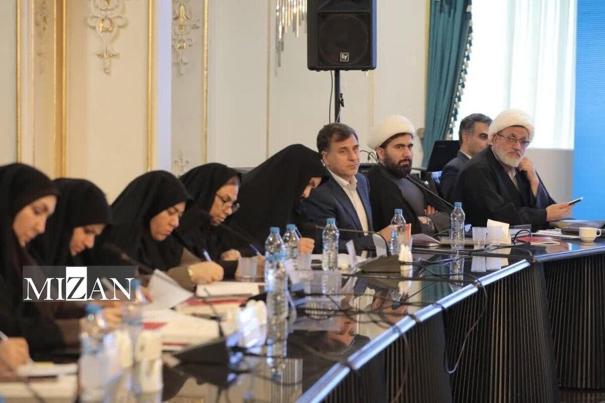 رئیس پژوهشگاه قوه قضاییه: قانون حمایت از اطفال و نوجوانان پیام پیشگیری از آسیب‌های اجتماعی و جرایم را در بر دارد