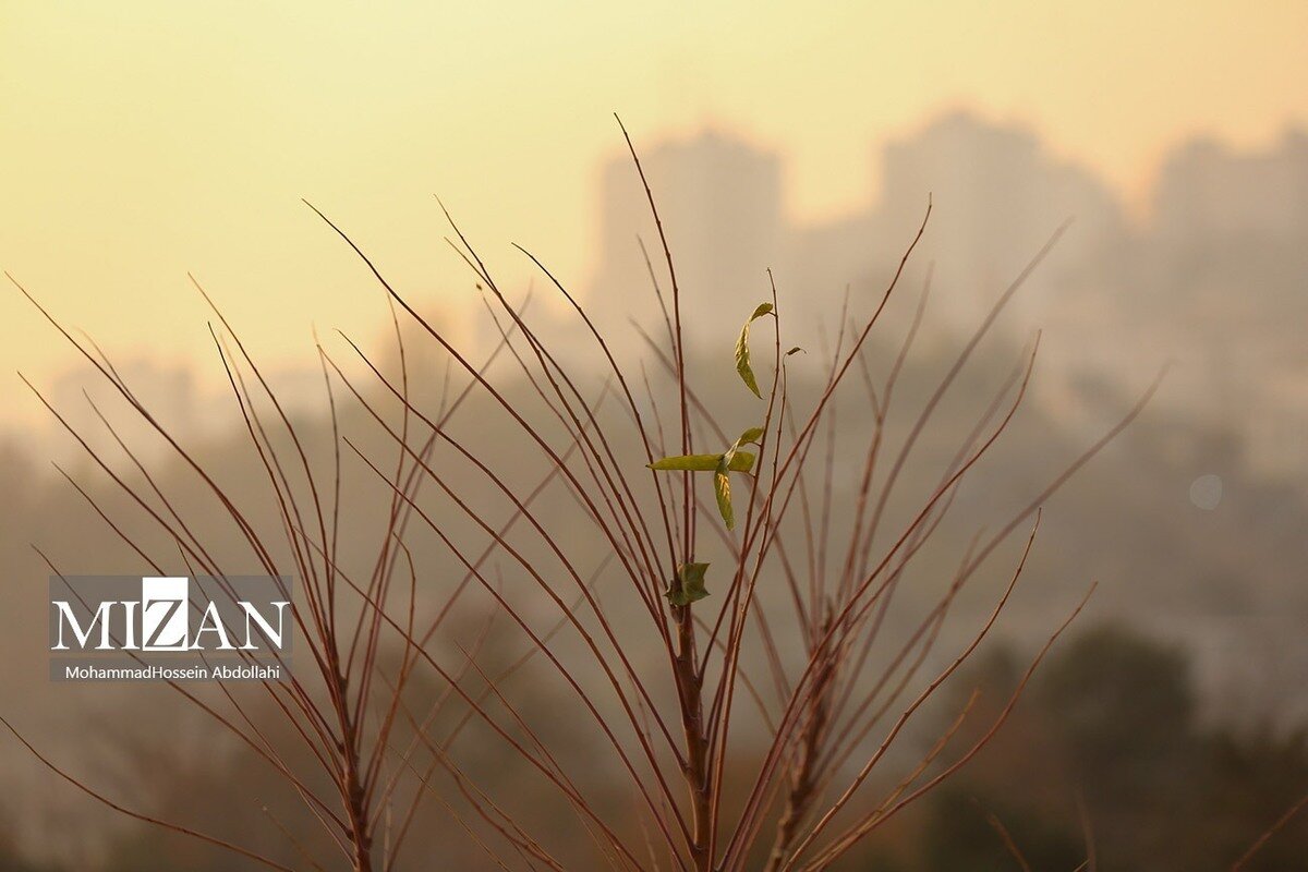 کیفیت هوای پایتخت ۴ دی ۱۴۰۴؛ شاخص آلودگی ۱۵۲ و در وضعیت «ناسالم» برای همه افراد