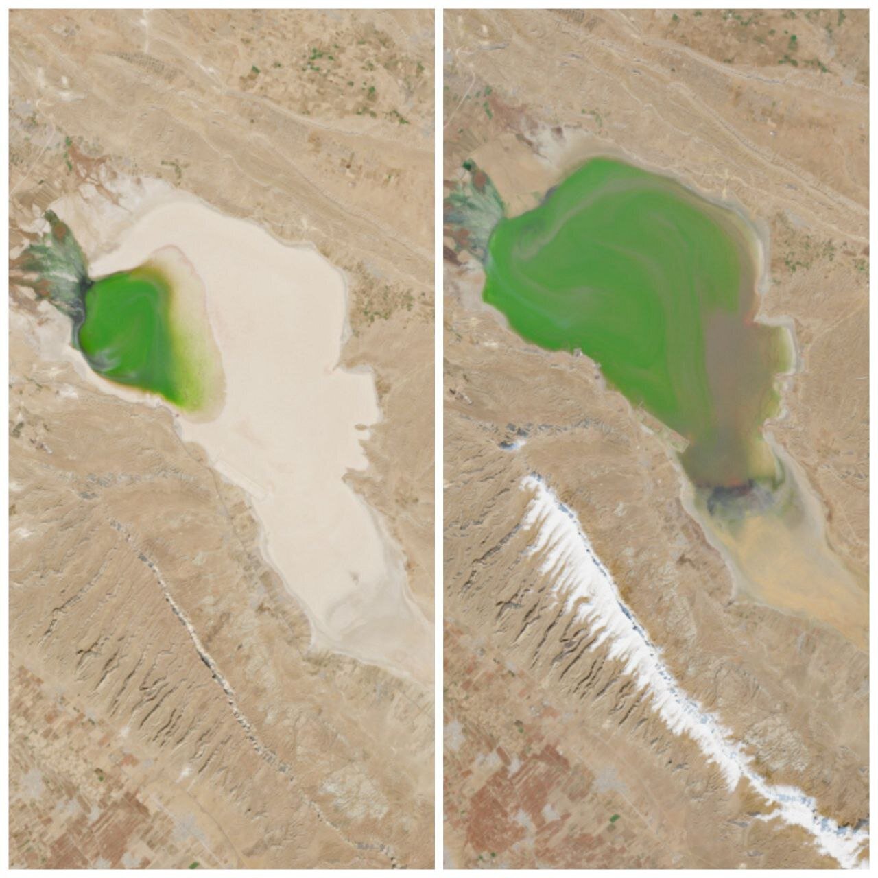 دریاچه مهارلو دوباره خندید 