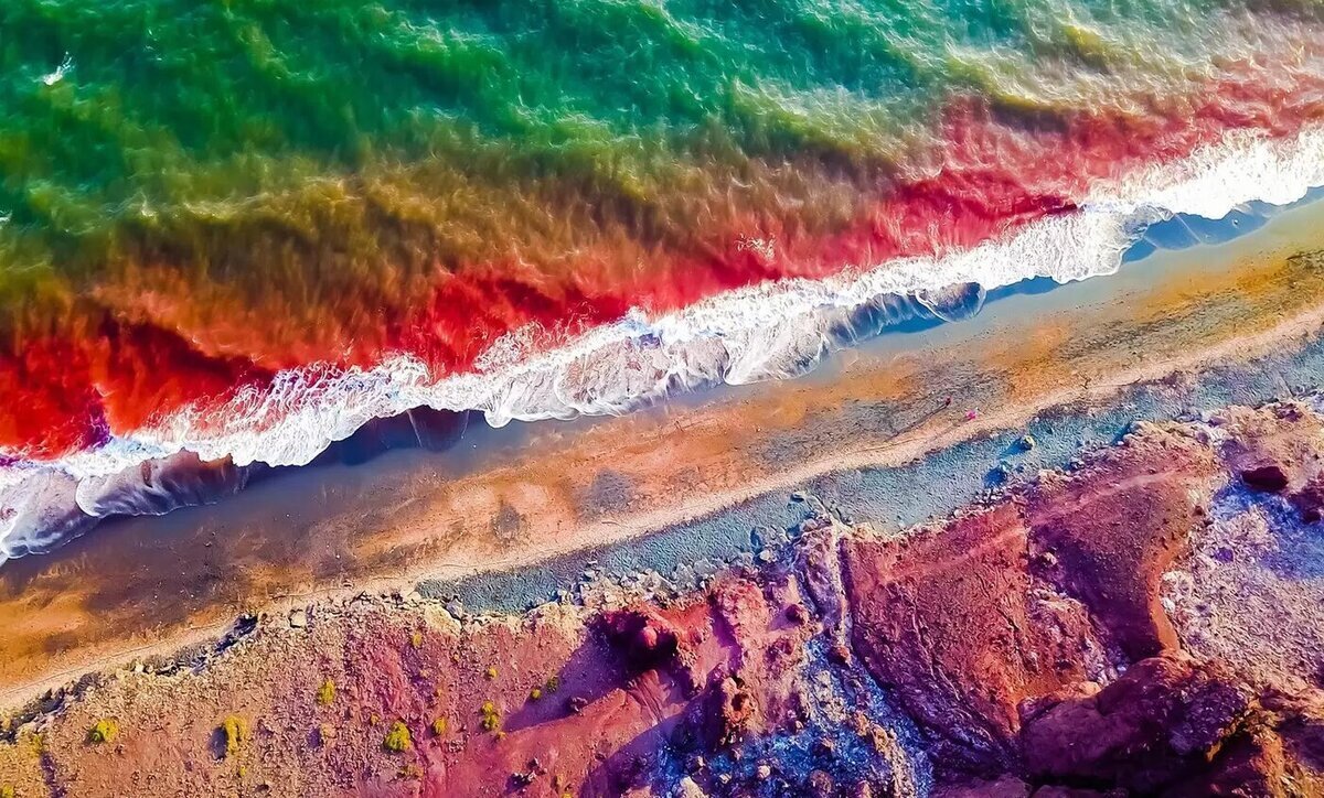 این جزیره الگوی جزیره های ایرانی می شود | ماجرای راه اندازی یک جزیره سبز در جنوب ایران