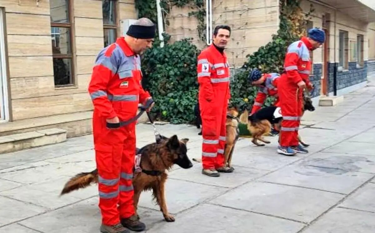 برگزاری دوره توانافزایی و بازتوانی سرمربیان و سگهای جستوجو و نجات کشور
