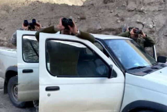مدیرکل حفاظت محیط زیست: سرشماری حیات‌وحش در مازندران وارد فاز علمی شد