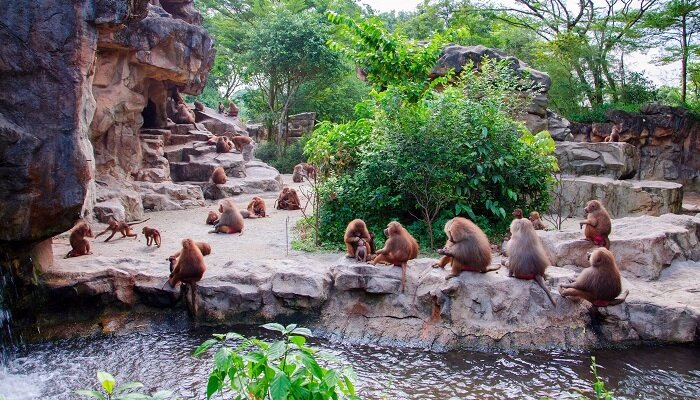 جا‌های دیدنی سنگاپور برای سفر به نگین سبز آسیا