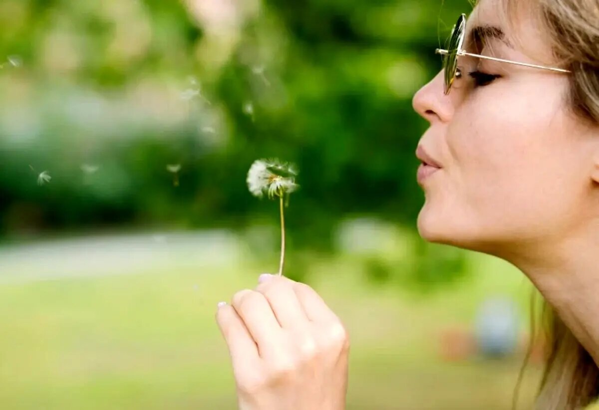 گل قاصدک برای چی خوبه؟