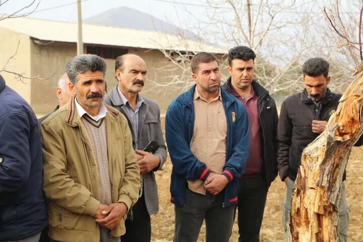 برگزاری رویداد «روز مزرعه کشت مکانیزه نخود انتظاری» در خرمآباد