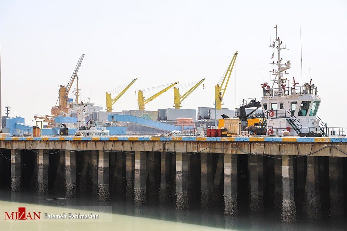 ۱۶ هزار تن کنجاله دامی با دستور قضایی از بندر امام خمینی (ره) ترخیص شد