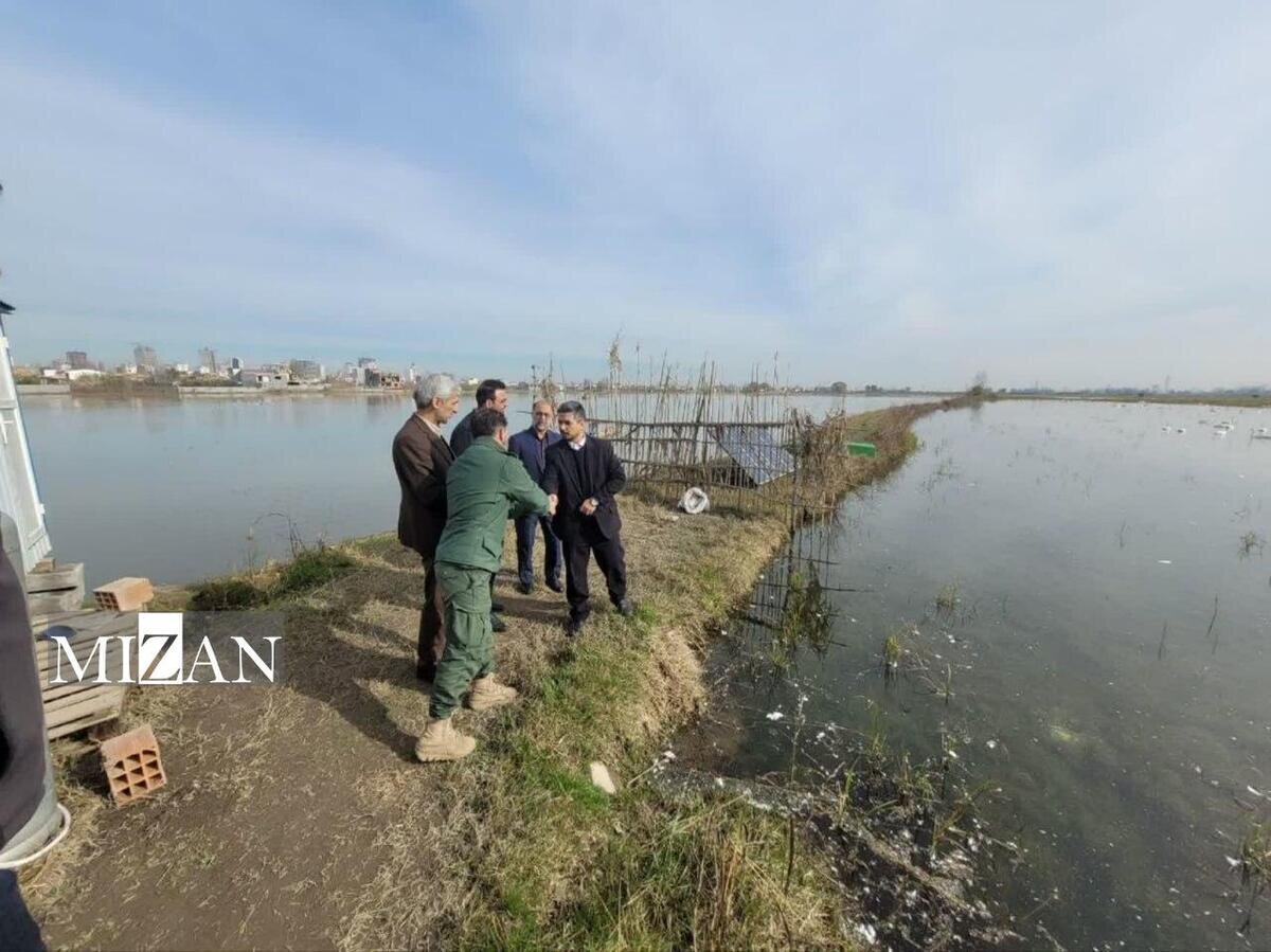 دادستان سرخرود: برخورد قانونی با شکار و فروش پرندگان مهاجر انجام می‌شود