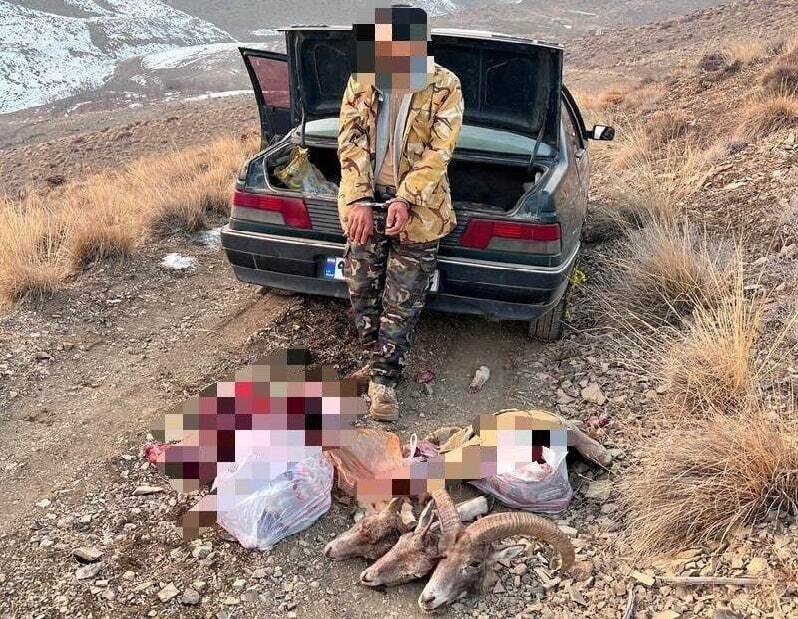 شکارچیان متخلف در منطقه شکارممنوع کوه سفید دماوند دستگیر شدند