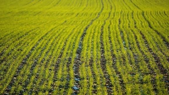 توسعه زیرساختهای کشاورزی کهگیلویه با اجرای طرح راه دسترسی اراضی زراعی