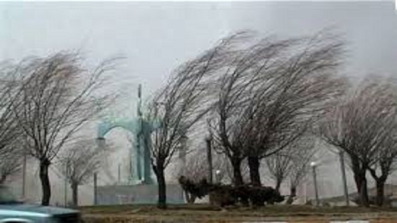 تداوم باد شدید تا روز چهارشنبه در اردبیل