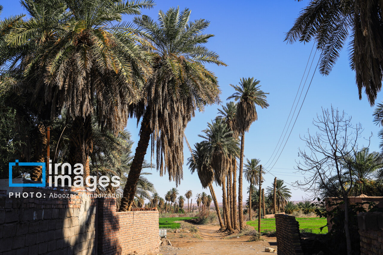 شفیع‌آباد، بهترین روستای گردشگری جهان در سال ۲۰۲۵