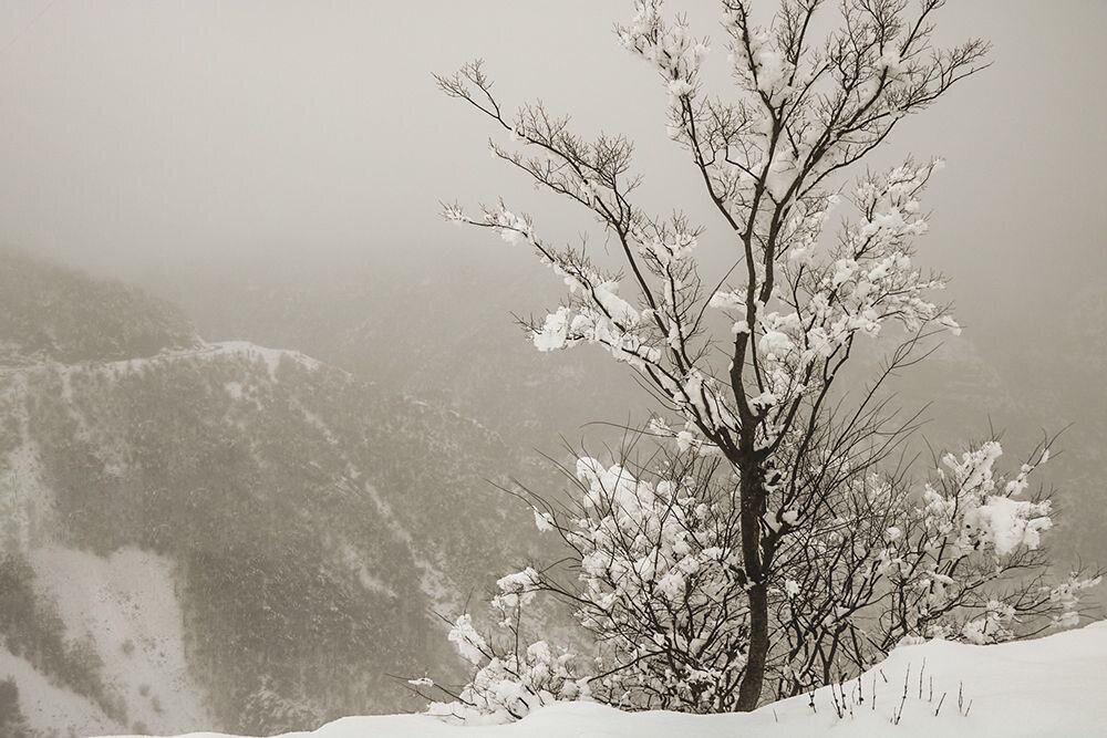 بارش برف ۶۰ سانتی‌متری در تهران دروغ است! | هجوم سردچال قطبی به ایران دروغ است | مهمترین ویژگی موج بارشی این هفته در کشور