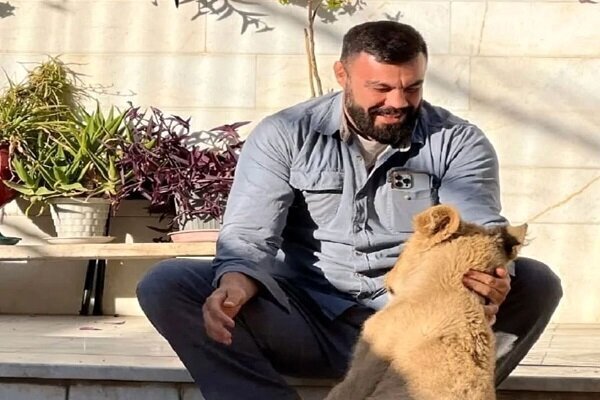 شیری که در خانه در کنار صاحبش راز بقا می دید! | ببینید