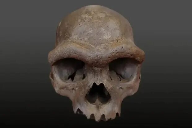 شش کشف باستان شناسی در سال ۲۰۲۵