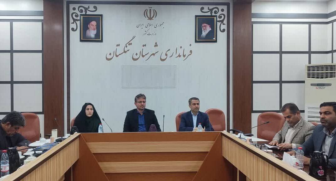 معاون فرماندار تنگستان: کمیتههای ویژه پروژههای تأخیردار تشکیل میشود