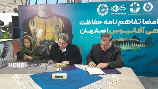 نماد زیستی اصفهان روی پیراهن سپاهان؛تفاهمنامه حفاظت از آفانیوس امضا شد