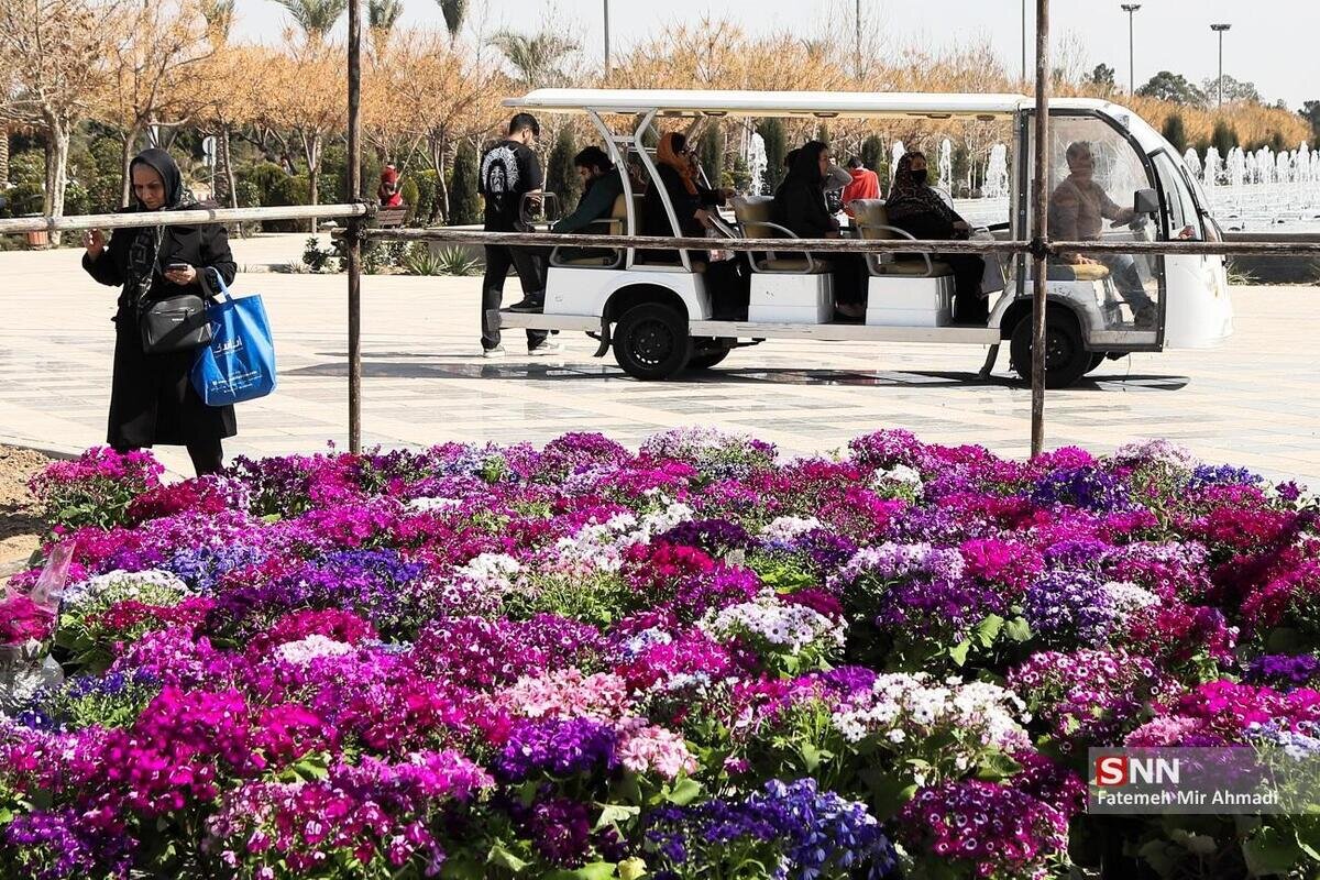 کاشت ۱۲۶ هزار بوته گل‌های فصلی زمستانی در بهشت زهرا(س)