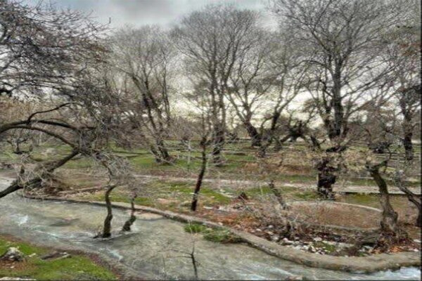 ثبت چشمه «قدمگاه» فارس به عنوان اثر طبیعی ملی