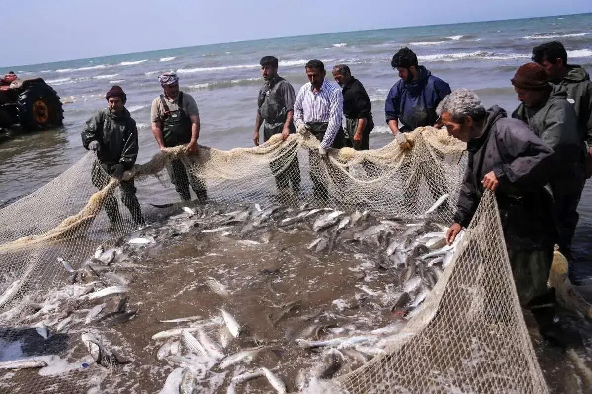 هشدار هواشناسی دریایی و اعلام وضعیت سطح نارنجی در سواحل جنوبی کشور