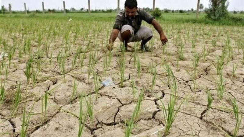 محدودیت منابع آبی و ضرورت تغییر الگوی کشت در طارم