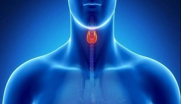 مراقب خرابی «پدال گاز» بدن باشید
