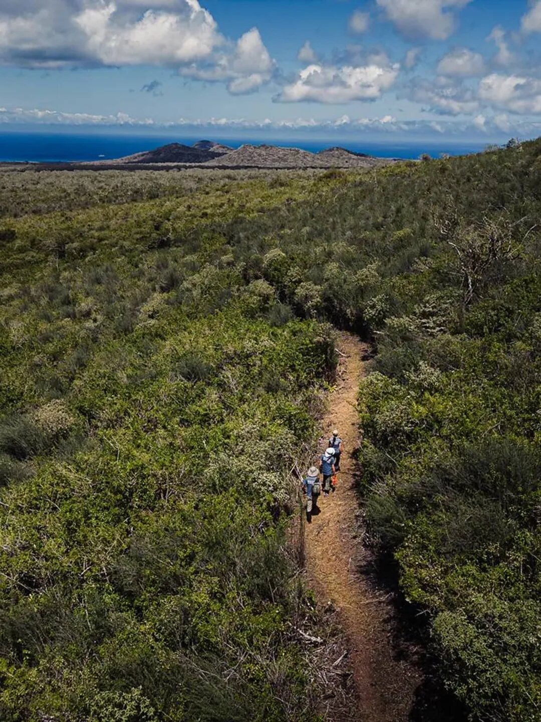رستاخیز طبیعت: پرندگان گمشده پس از ۲۰۰ سال به گالاپاگوس بازگشته‌اند