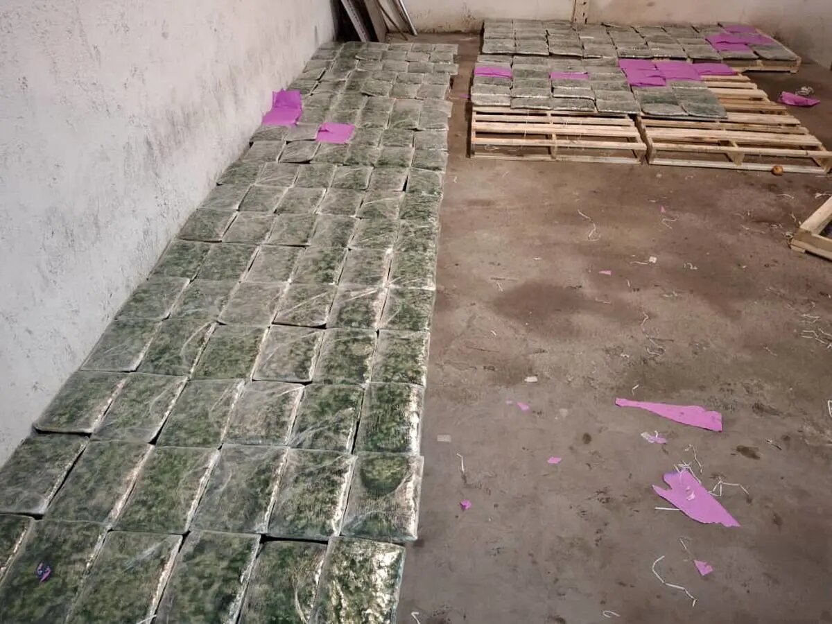 کشف ۱۲۹ کیلوگرم ماده مخدر گل توسط مأموران گمرک در مرز آستارا