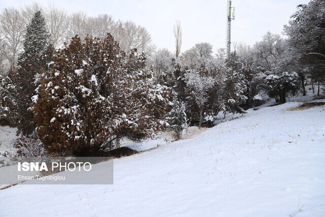 ورود موج بارشی جدید از پنجشنبه