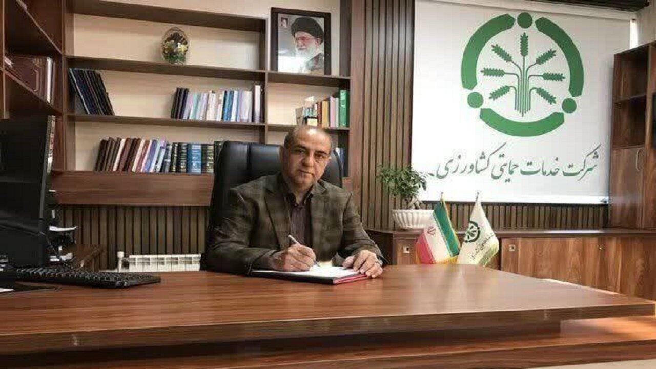 توزیع ۳۰ هزار تن بذر گندم اصلاح شده درکردستان