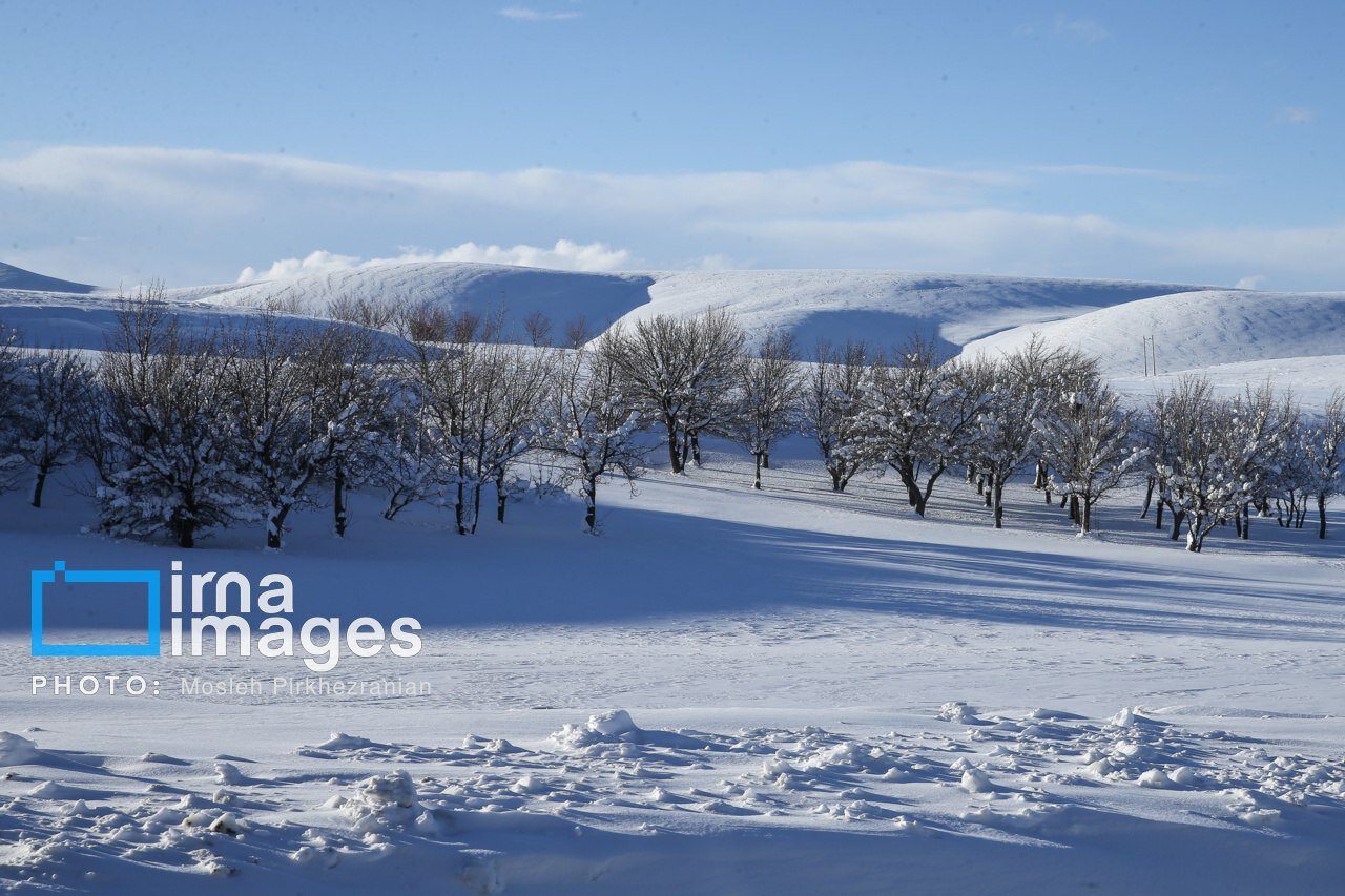 عکس/برف و کولاک زمستانی در کردستان