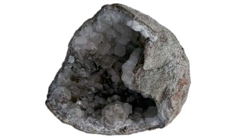 تخم دایناسور ۷۰ میلیون ساله پر از بلور بود! | عکس