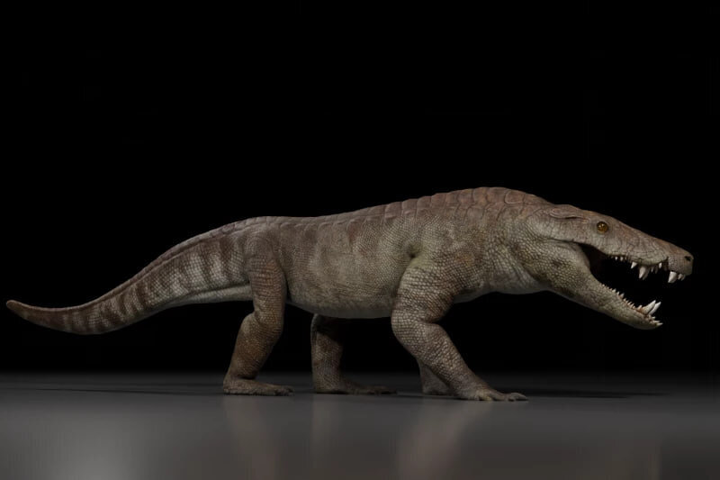 رازهای سهمگین از دل خاکسترهای تاریخ؛ شبح «نانوتیرانوس» | آیا پادشاه دایناسورها یک فریب بزرگ بود؟