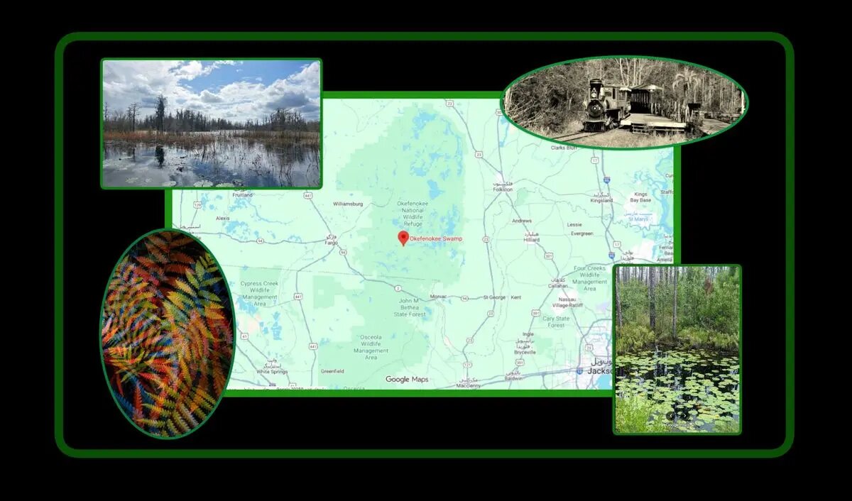 ثبت انرژی «اسرارآمیز» یک باتلاق جادویی/ عکس‌هایی که ژانر وحشت را تداعی می‌کنند