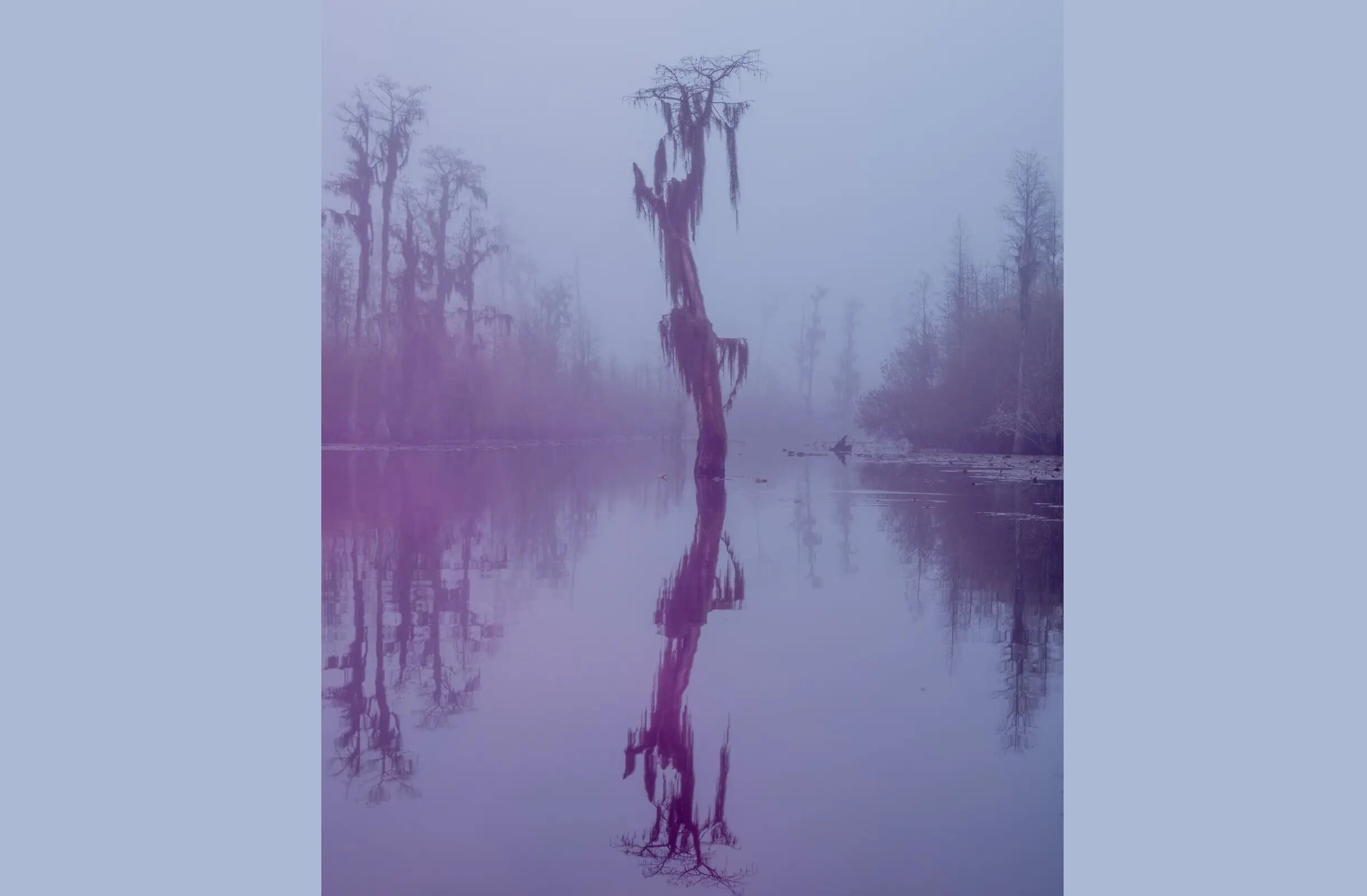 ثبت انرژی «اسرارآمیز» یک باتلاق جادویی/ عکس‌هایی که ژانر وحشت را تداعی می‌کنند