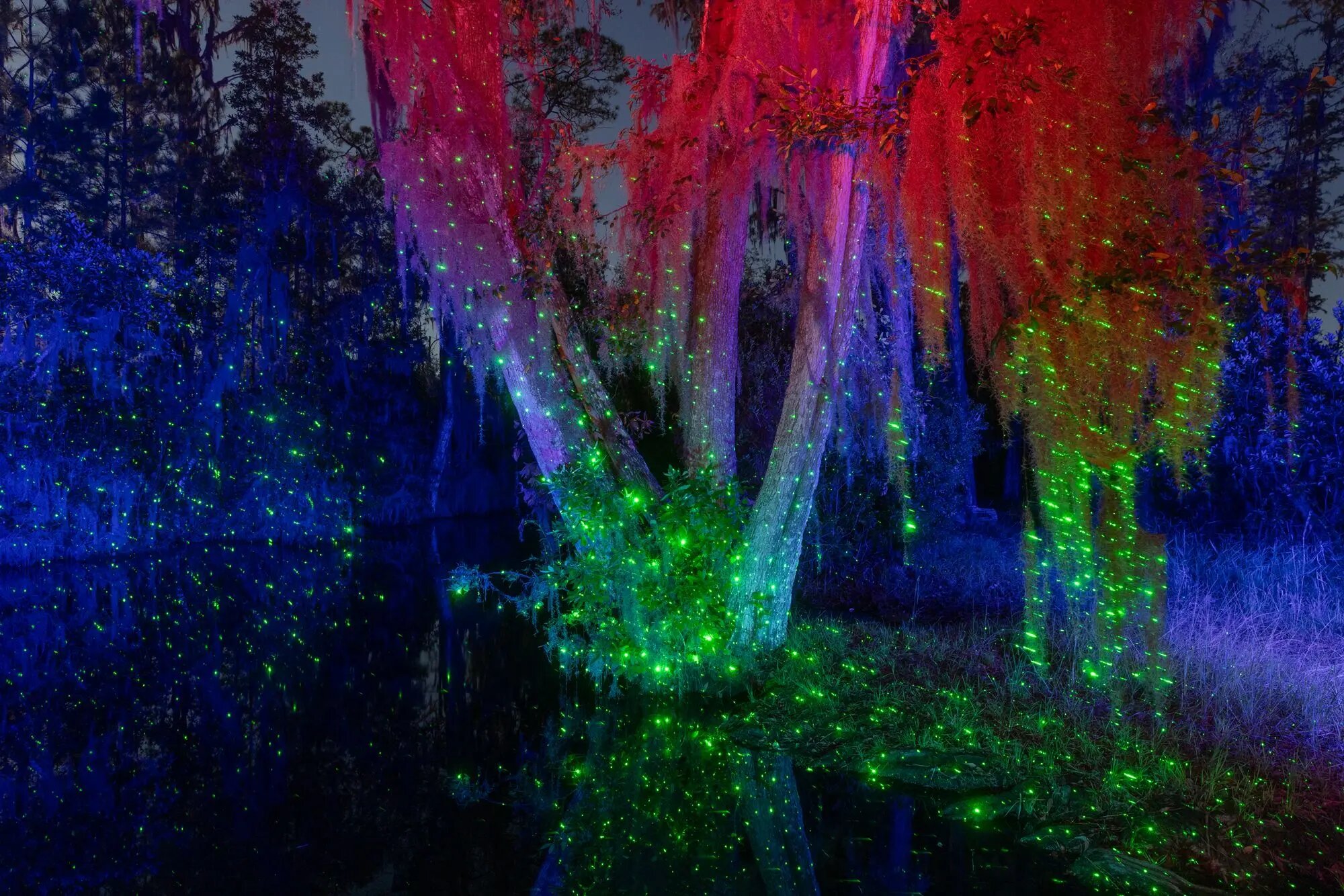 ثبت انرژی «اسرارآمیز» یک باتلاق جادویی/ عکس‌هایی که ژانر وحشت را تداعی می‌کنند