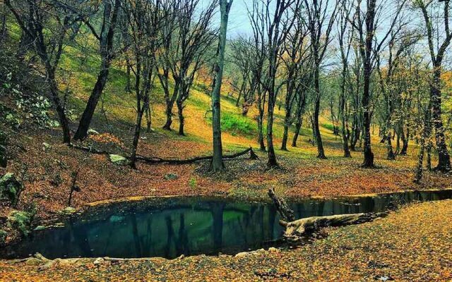 احراز شهادت محیط‌بانان پارک ملی گلستان