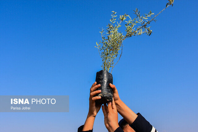 کاشت بالغ بر ۱۰۰۰ اصله نهال در گیلان به نیت حاج قاسم