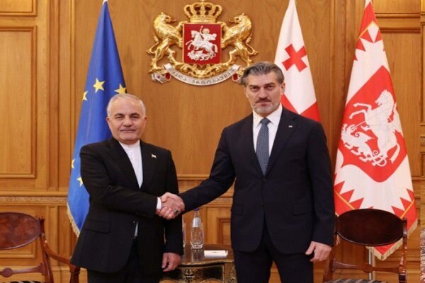 سفیر ایران در پایان ماموریت خود با رئیسجمهور گرجستان دیدار کرد