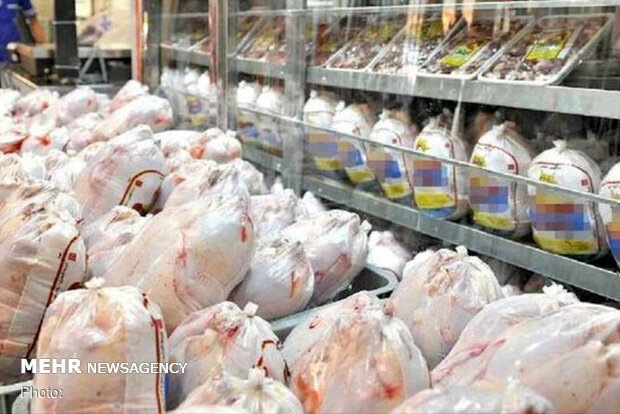 آذربایجان غربی قطب تولید گوشت مرغ؛ ۶۶ میلیون قطعه جوجه ریزی انجام شد