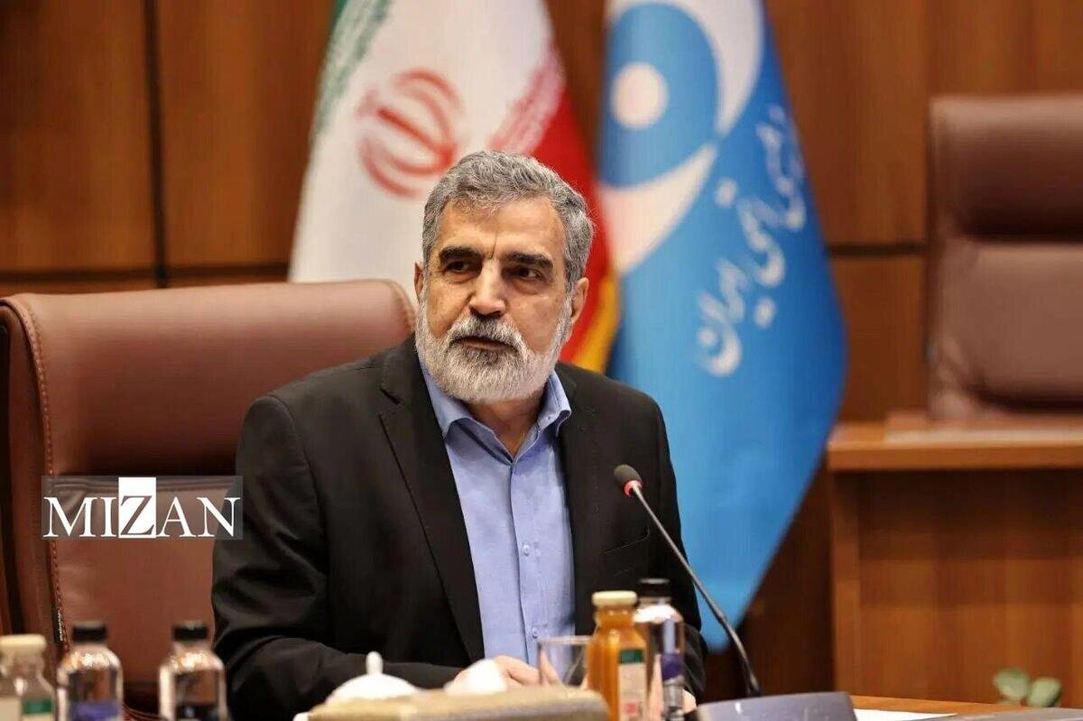 تشریح سه دستاورد مهم هستهای در کمیسیون امنیت ملی مجلس