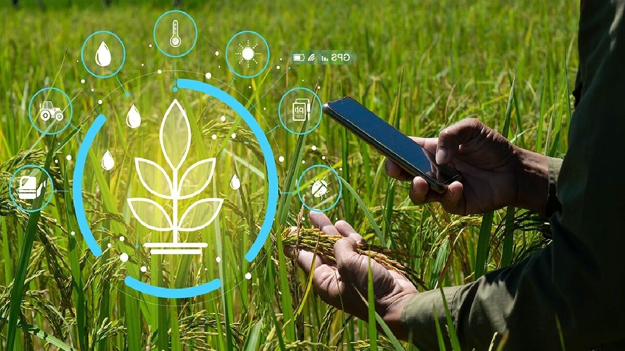 استفاده از هوش مصنوعی در تحقیقات گیاهپزشکی ضروری است