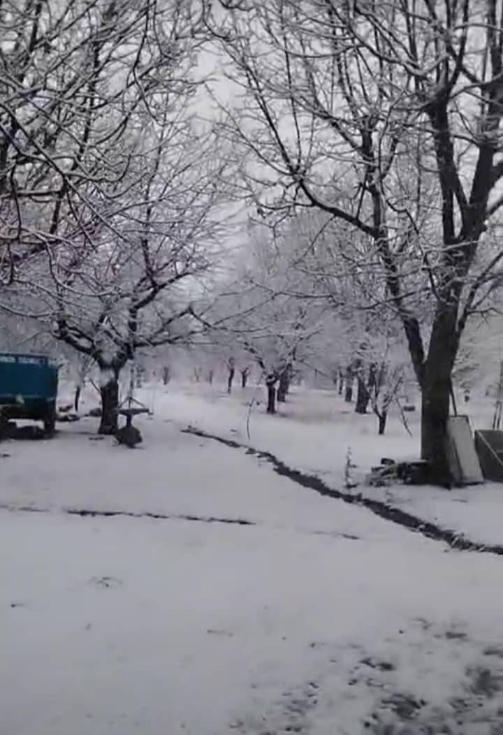 جامه بلورین بر تن روستای زیارت + عکس و فیلم