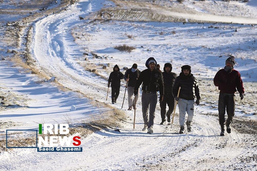 عکس/ادامه جستوجو برای یافتن نوجوان مفقود شده اهری