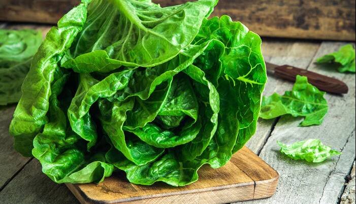 چه قسمتی از کاهو نیترات بیشتری دارد؟