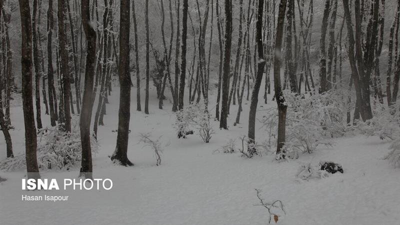افزایش ۱۱ درصدی آمار بارش در کنار تداوم خشکسالی