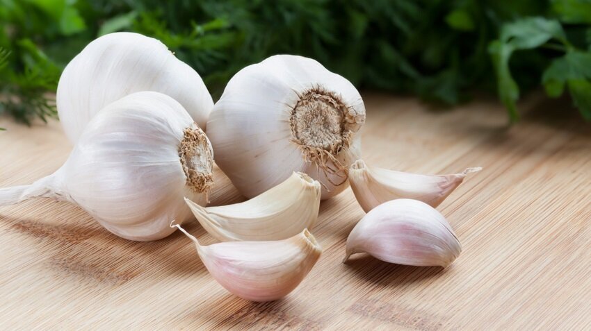 غذاهایی برای فیلتر کردن کلیهها