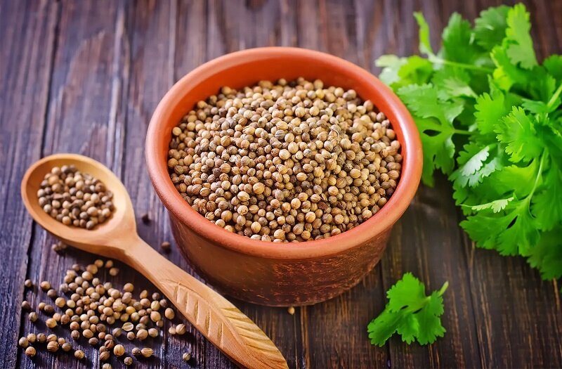غذاهایی برای فیلتر کردن کلیهها