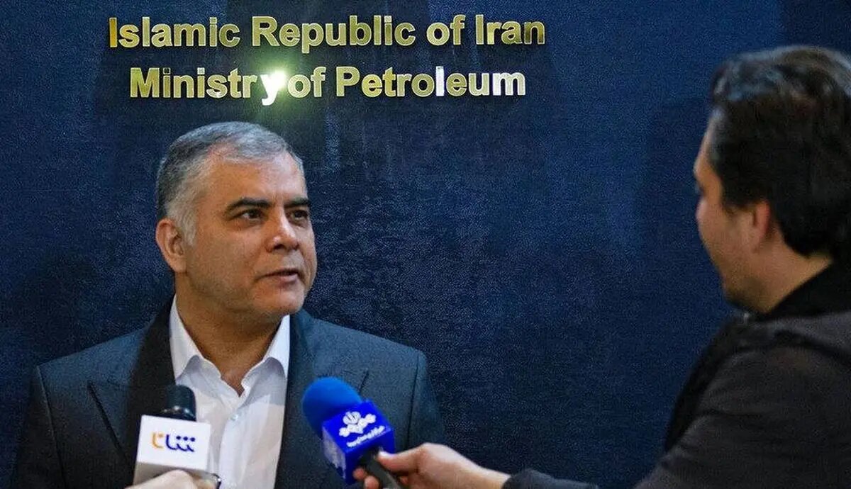 مشارکت پتروشیمیها در توسعه میادین گازی، کلید تأمین پایدار خوراک