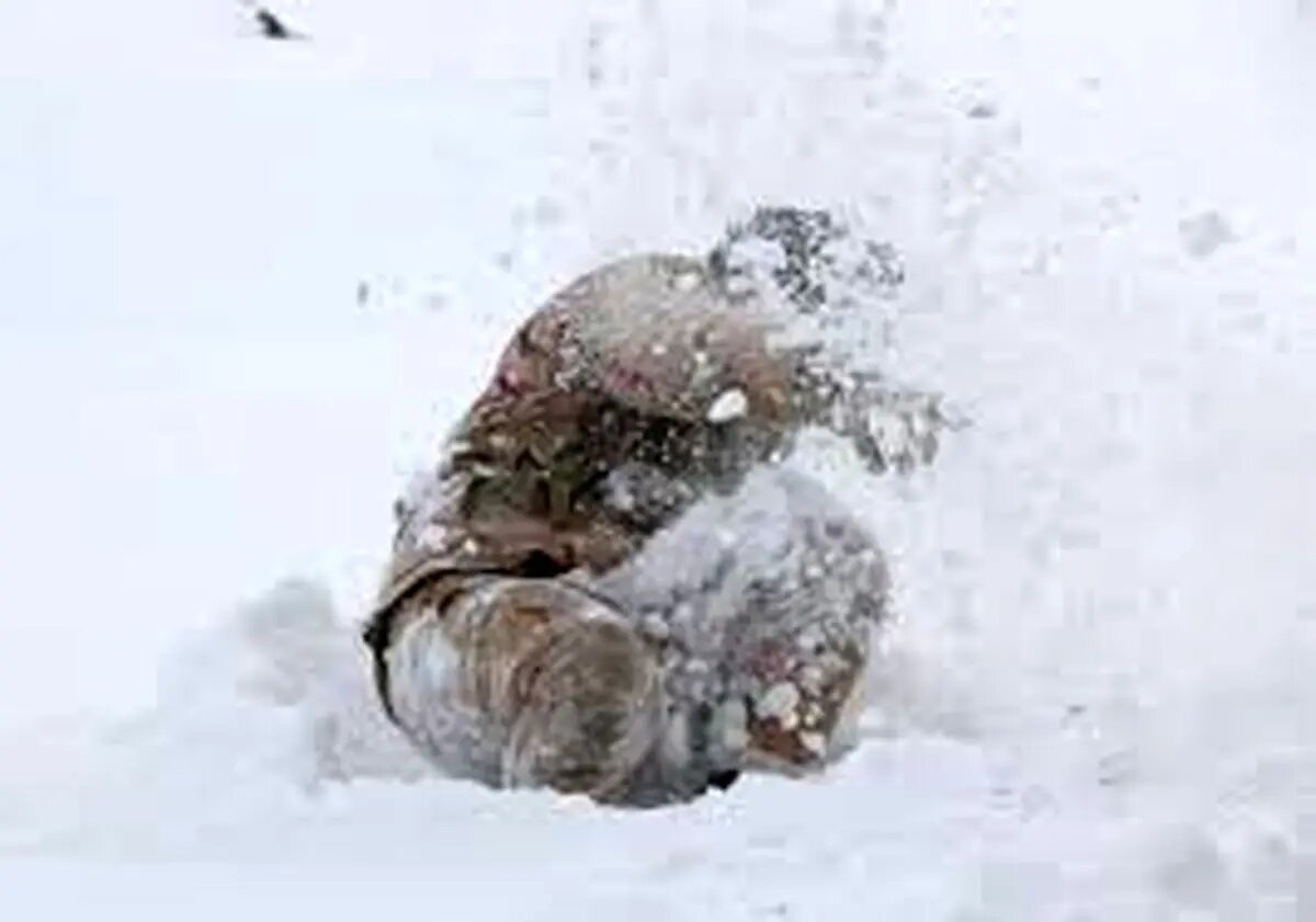 واکنش عضو کمیسیون امنیت ملی به شهادت یک مرزبان به دلیل سرمازدگی/ تجهیزات لازم برای این شرایط پیش‌بینی و تهیه شده؛ علت حادثه را پیگیری می‌کنیم